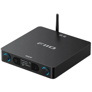 FiiO BR15 R2R