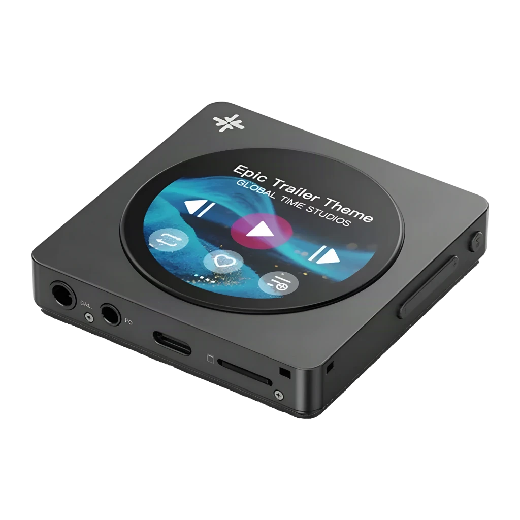 FiiO Snowsky DISC Negro