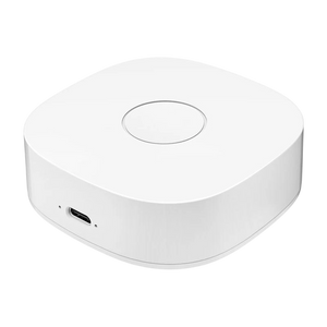 Heiman WS2GW-R WiFi - Switch