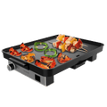 Plancha el�ctrica Magnet 1800