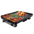 Plancha el�ctrica Magnet 1800