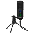 Micrófono Condensador USB BM-65 Streaming/Estudio