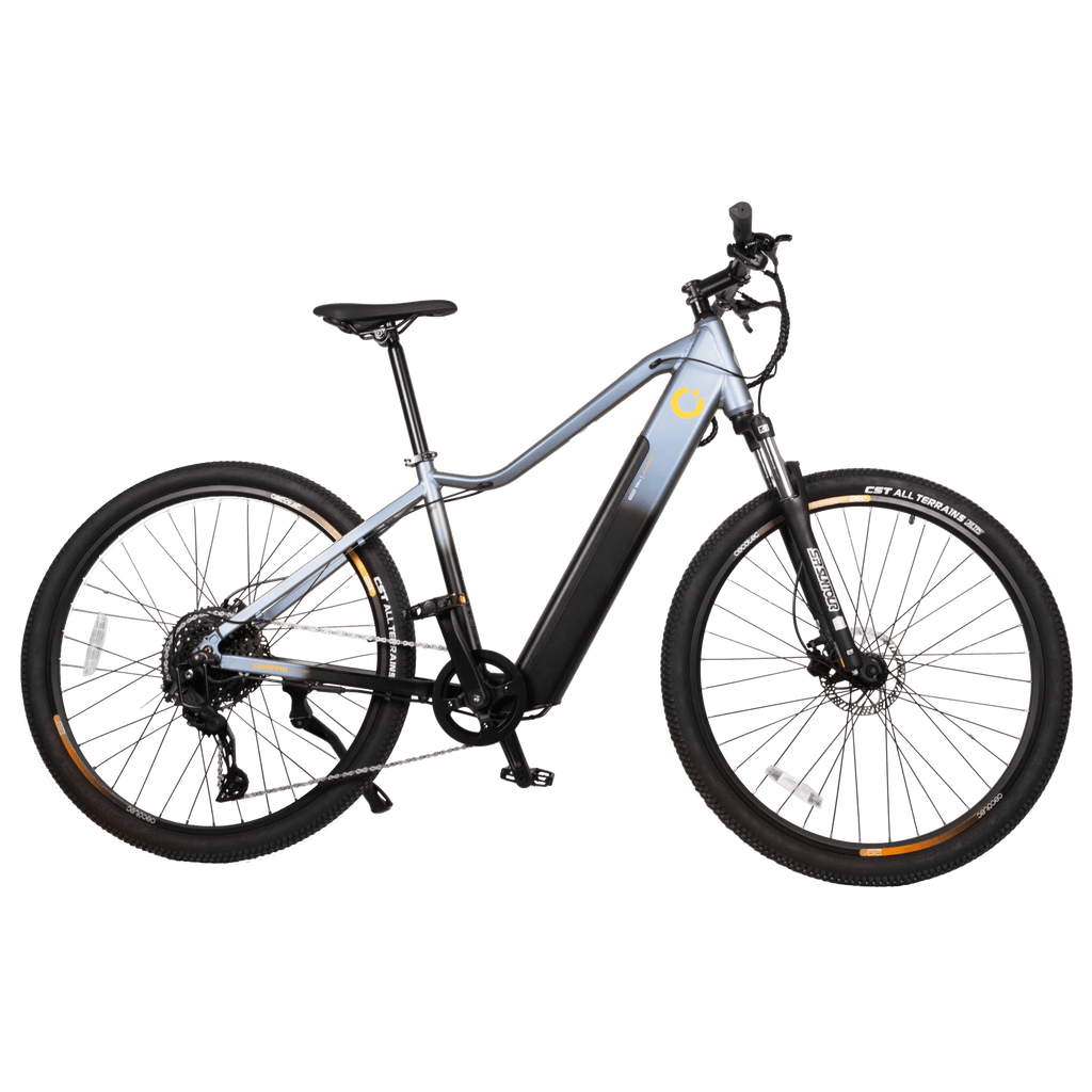 Bicicleta el�ctrica Avanti