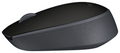 Logitech M171