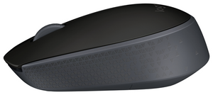 Logitech M171