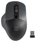 NATEC BlackBird 2 ratón Oficina Ambidextro RF inalámbrico IR LED 1600 DPI