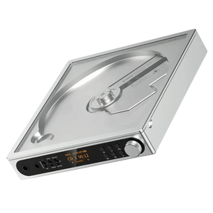 FiiO DM15 R2R Plata