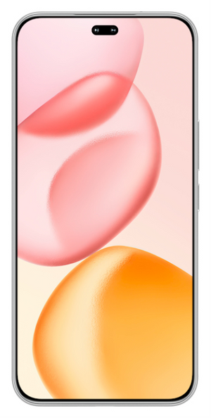 Honor 400 Pro 17 cm (6.7") MagicOS 9.0 5G 12 GB 512 GB 5300 mAh Gris