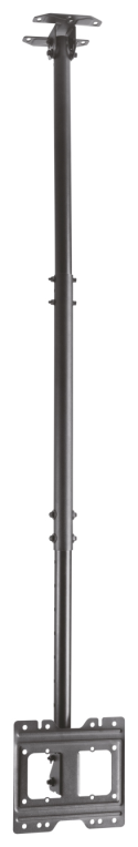 AISENS Soporte de techo giratorio, inclinable, extensible para monitor/TV 50kg de 23”-43”, Negro
