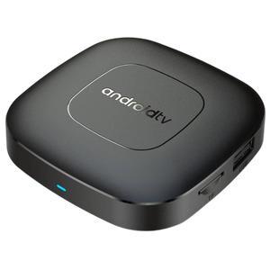 T1 H313 2GB/8GB Wifi Dual Android 13 Negro - Android TV