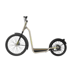 Bicinete Urban