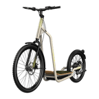 Bicinete Urban
